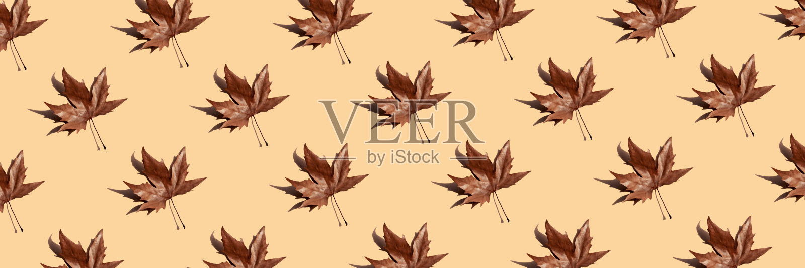 无缝图案秋褐色枫叶旗米色插画图片素材