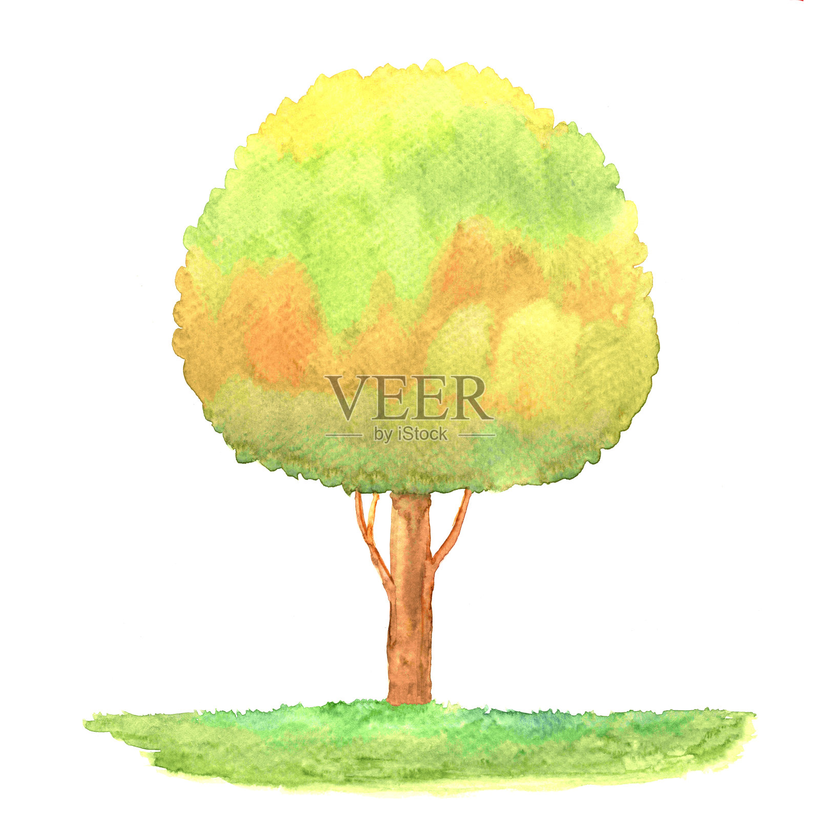 树水彩插图，树水彩手绘艺术绘画插画图片素材