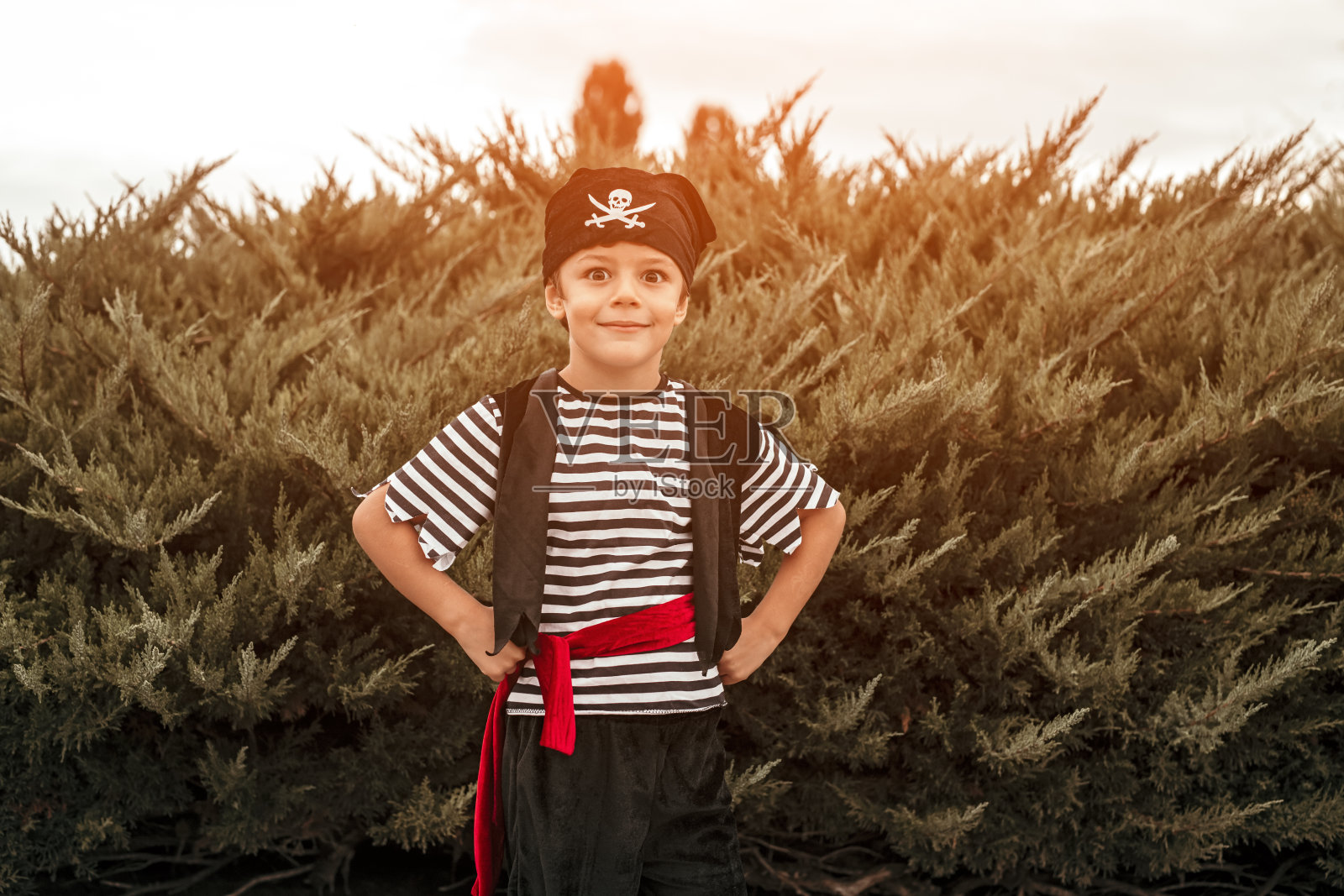 可爱的男孩穿着海盗服站在树丛旁照片摄影图片