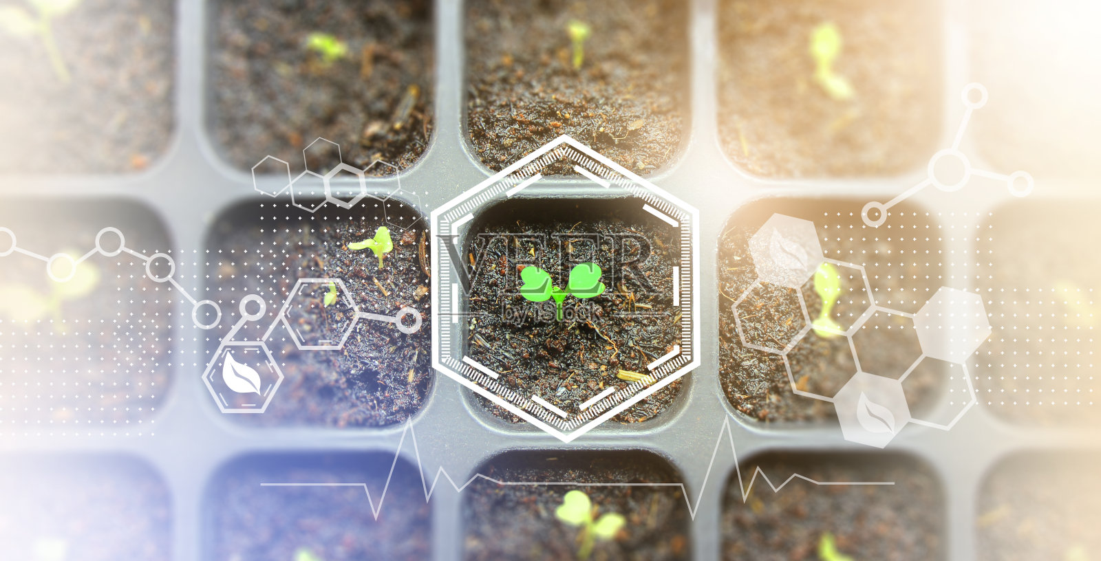 平衡利用生物质，利用生物质和化学保护自然，自然保护理念照片摄影图片