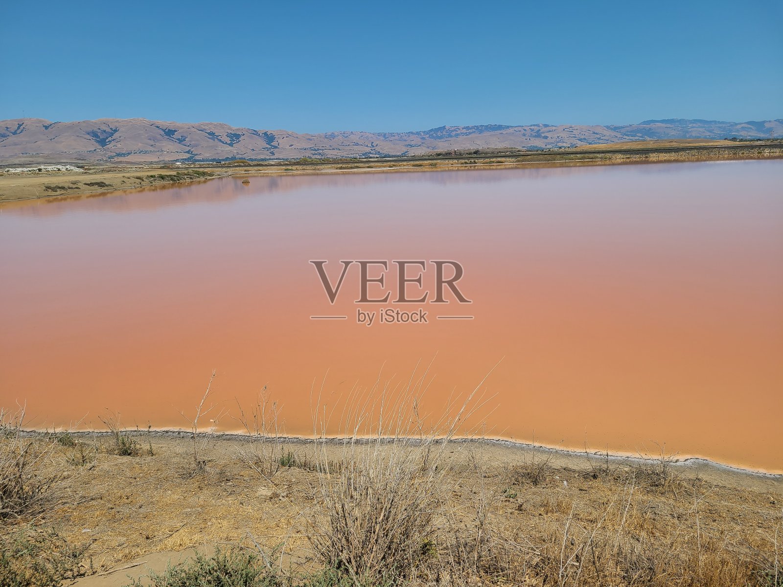 加州圣何塞，阿尔维索滨海县公园的红盐湖照片摄影图片