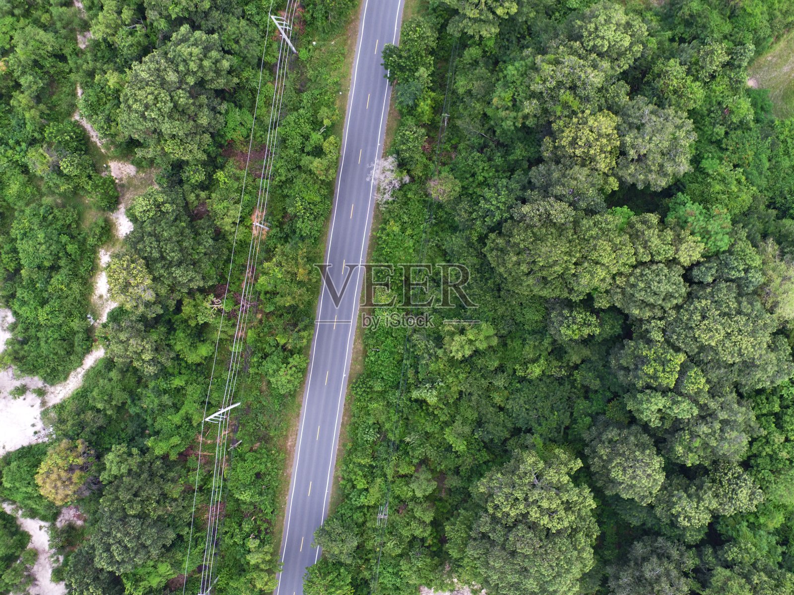 绿色森林之间的乡村道路的无人机视图照片摄影图片