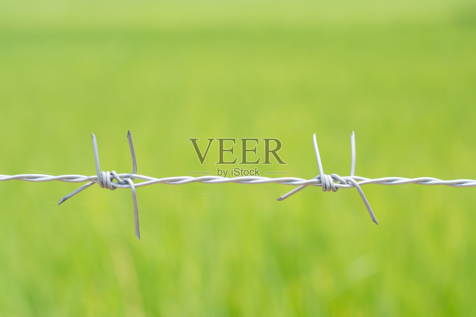 带刺铁丝网与绿色背景在阳光明媚的日子，复制空间照片摄影图片