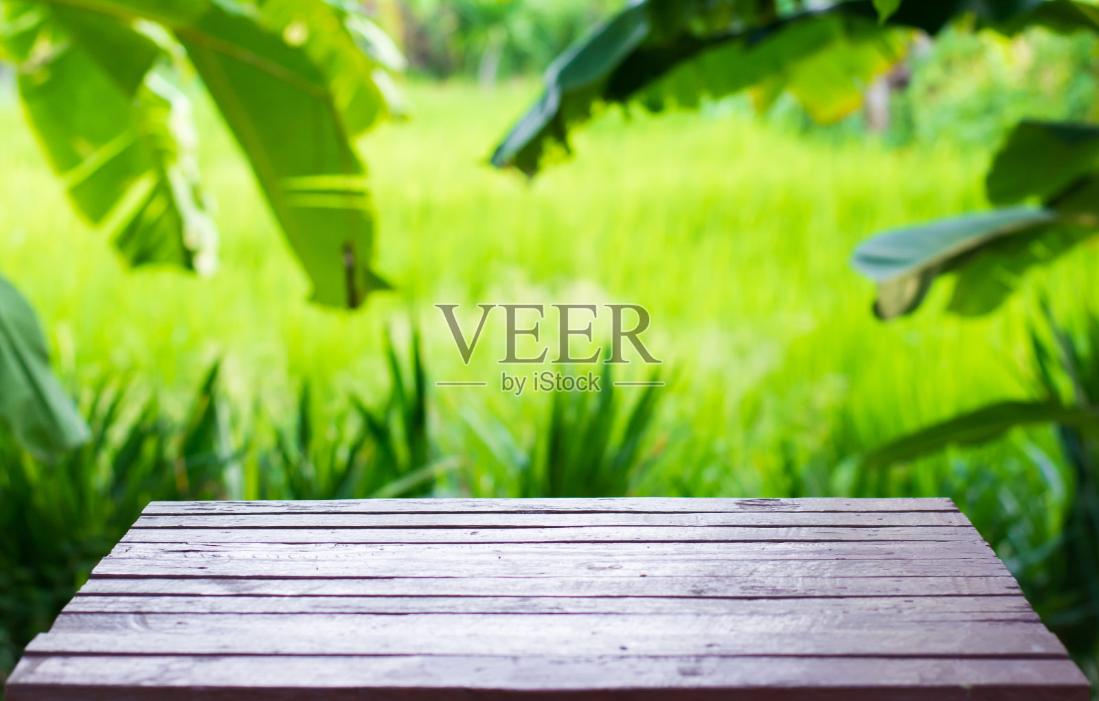 木桌在花园中以稻田为背景，复制空间照片摄影图片