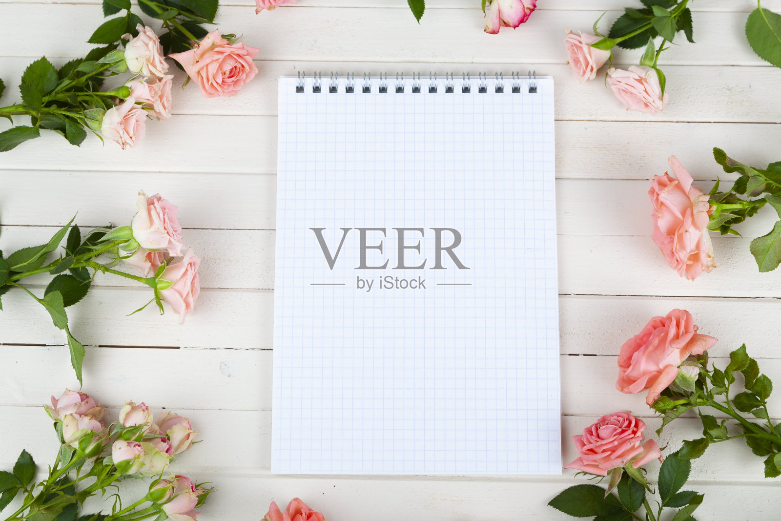 粉色玫瑰和短信用纸照片摄影图片