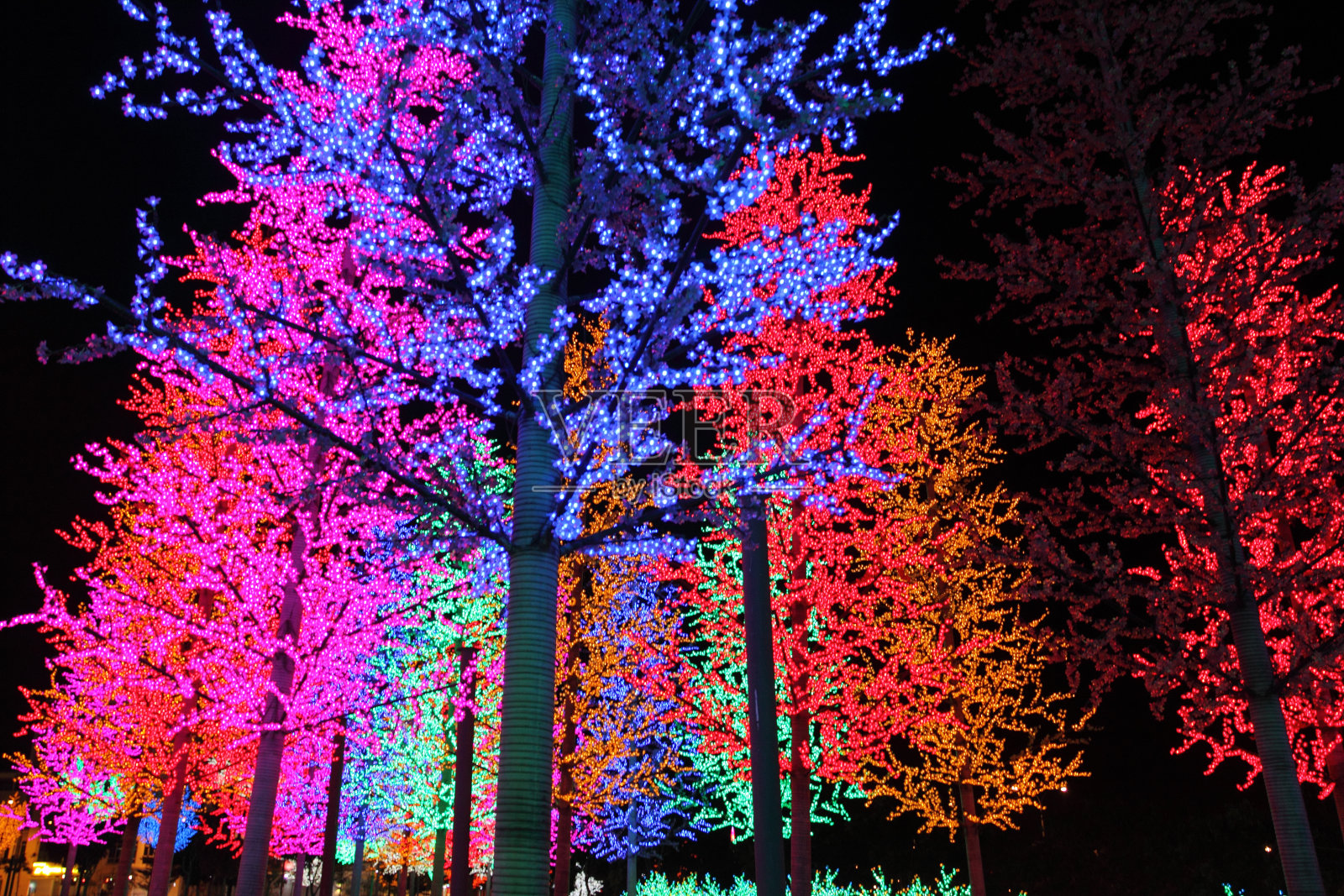 一排排五颜六色的LED树装饰照片摄影图片