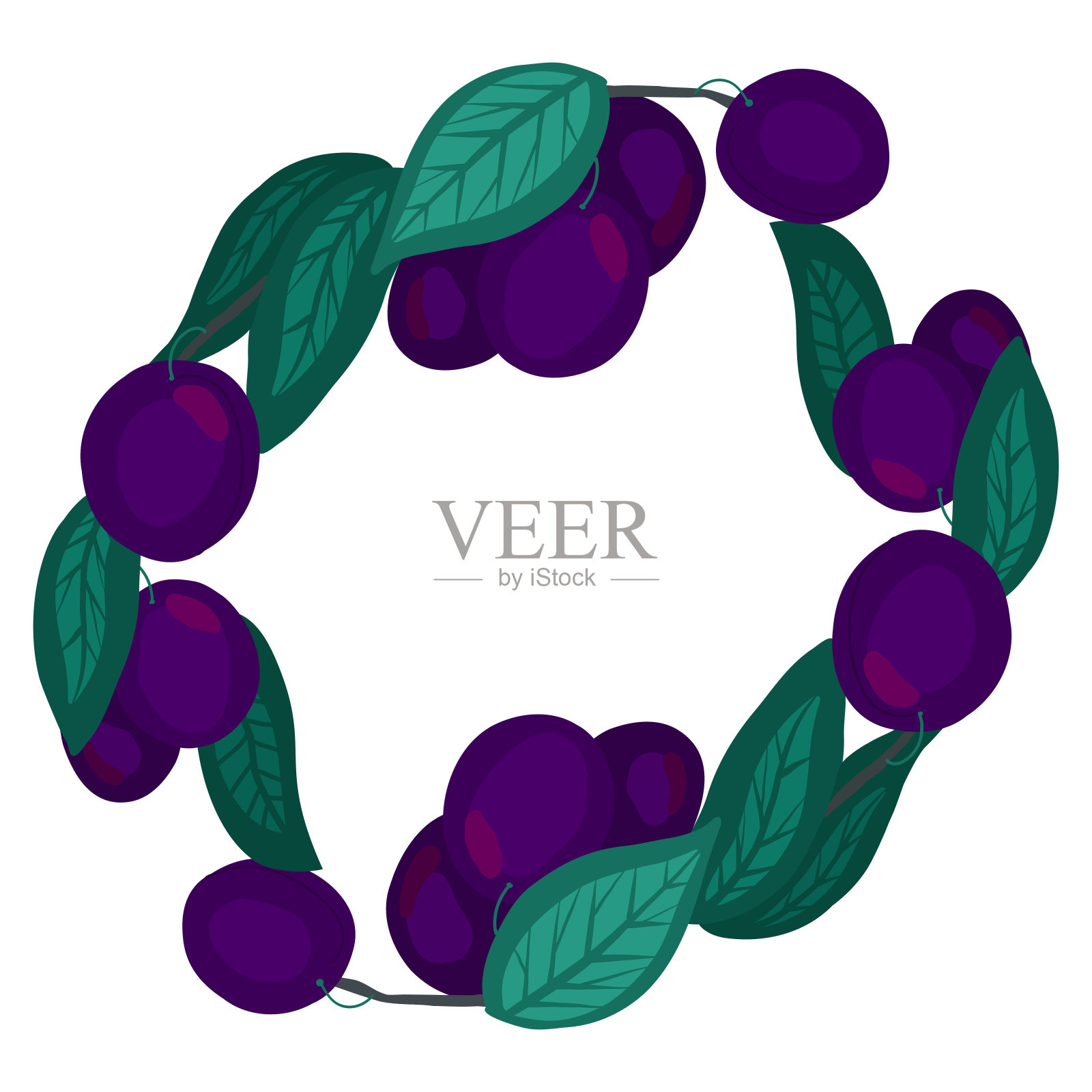 椭圆形框架与李子，树叶，树枝和地方的文字。夏季水果和树叶的自然边界。矢量手绘平圆模板与浆果和复制空间。插画图片素材