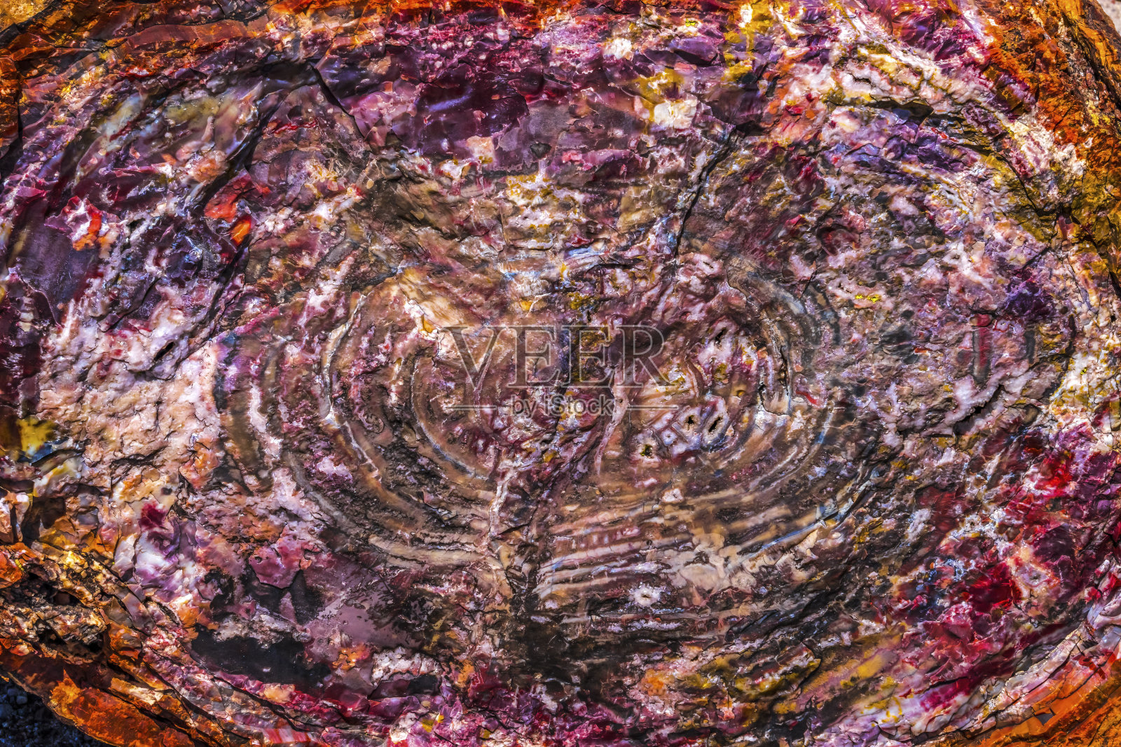 石化木岩石抽象背景亚利桑那州国家公园照片摄影图片