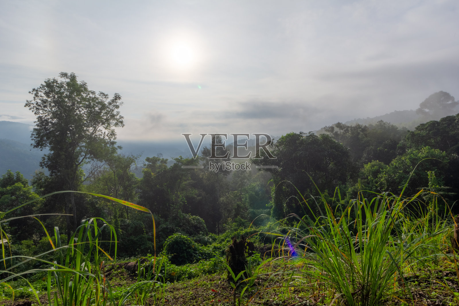 山上的早晨照片摄影图片