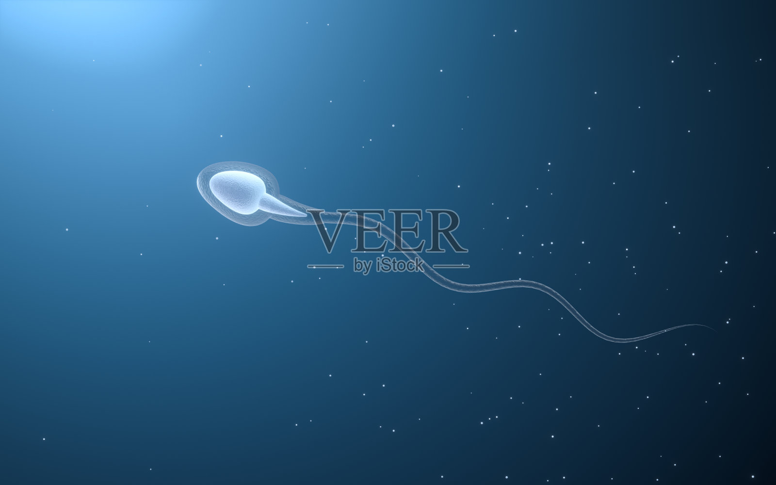 人类精细胞，3d渲染。照片摄影图片