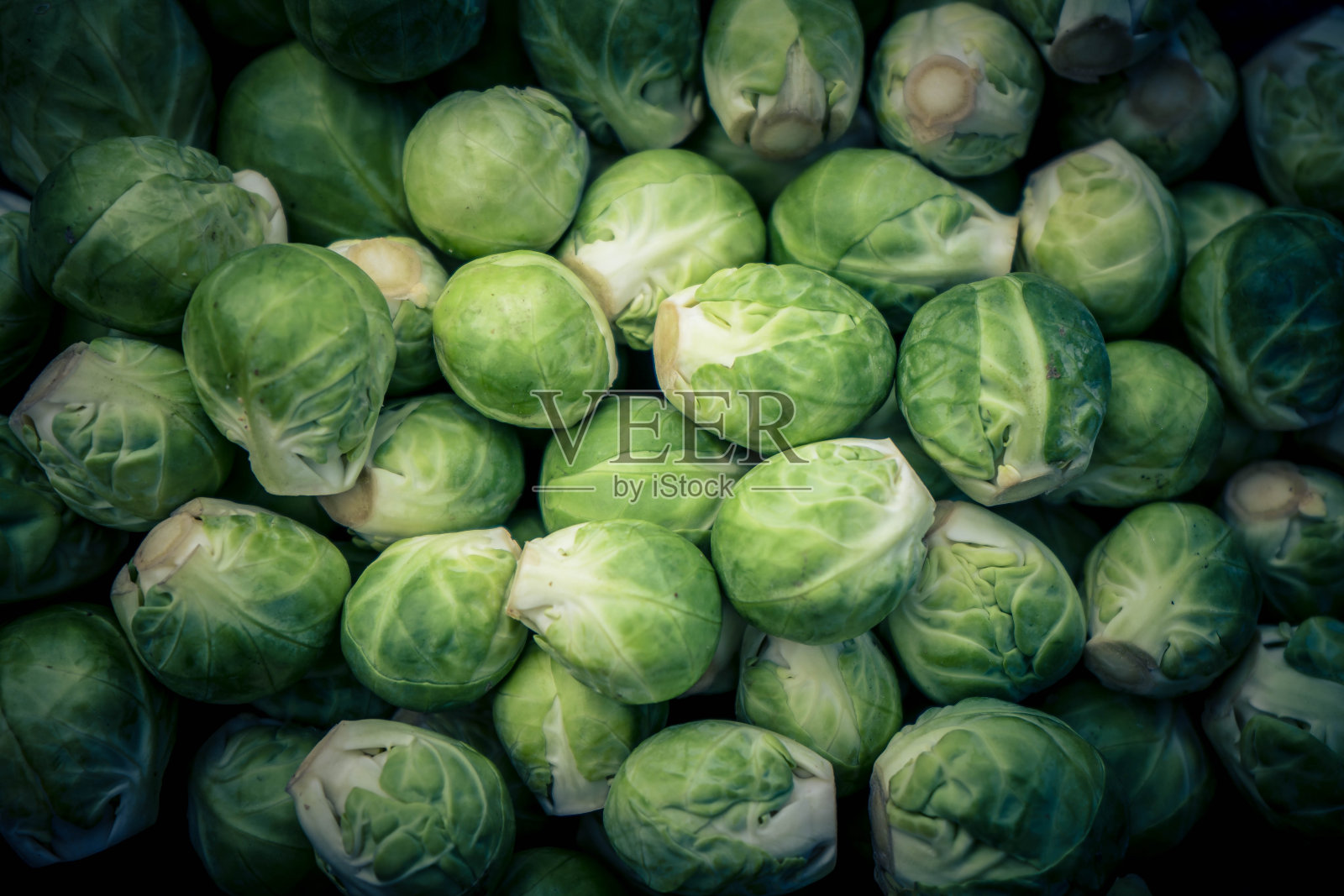 球芽甘蓝照片摄影图片