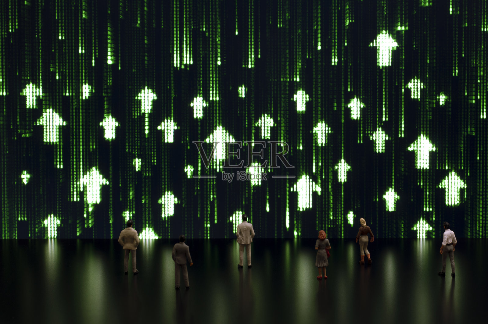 矩阵:牛市照片摄影图片