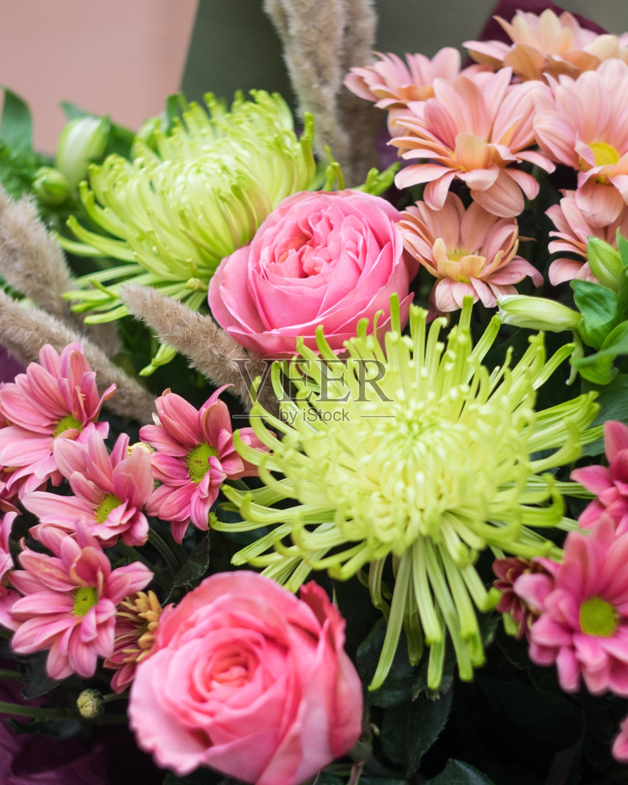 美丽的玫瑰和绿色的花朵组成，选择性聚焦，特写照片摄影图片