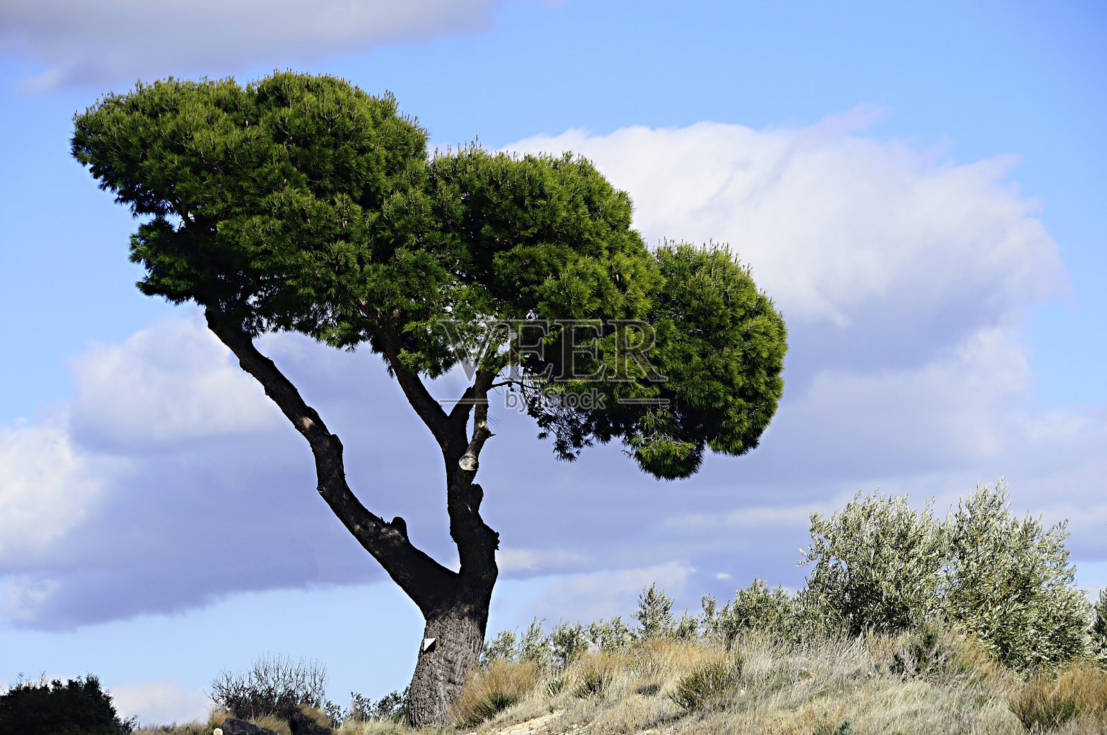 格拉纳达-安达卢西亚-西班牙的内部景观照片摄影图片