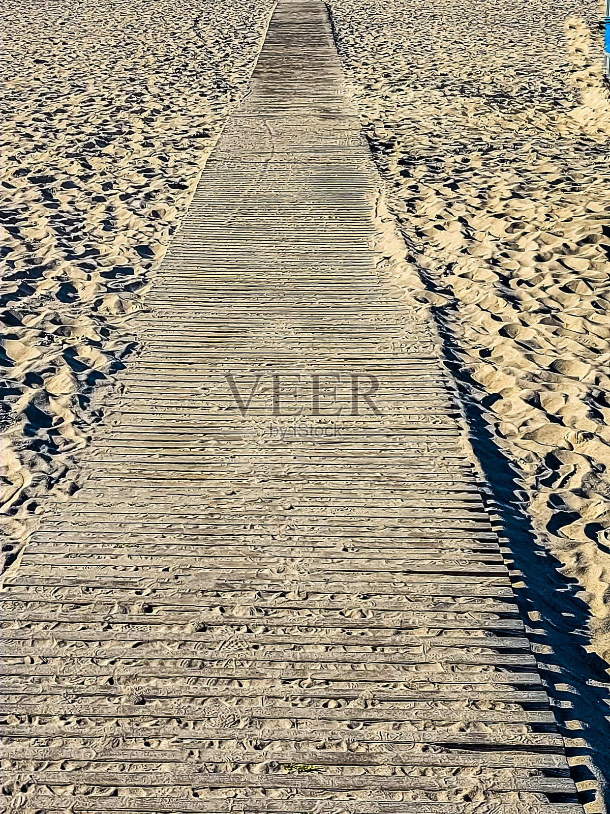 一条林中小径穿过细沙照片摄影图片