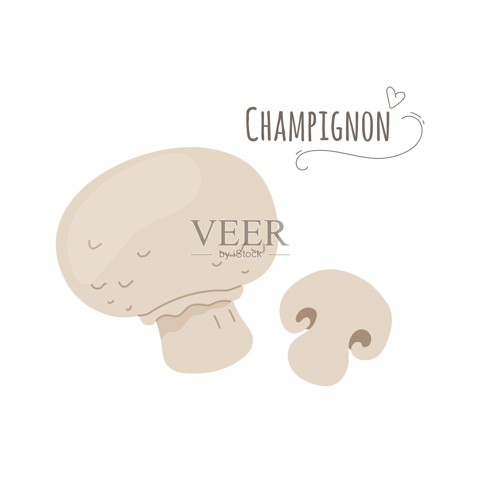 Champignonagaricus蘑菇分离在白色插画图片素材