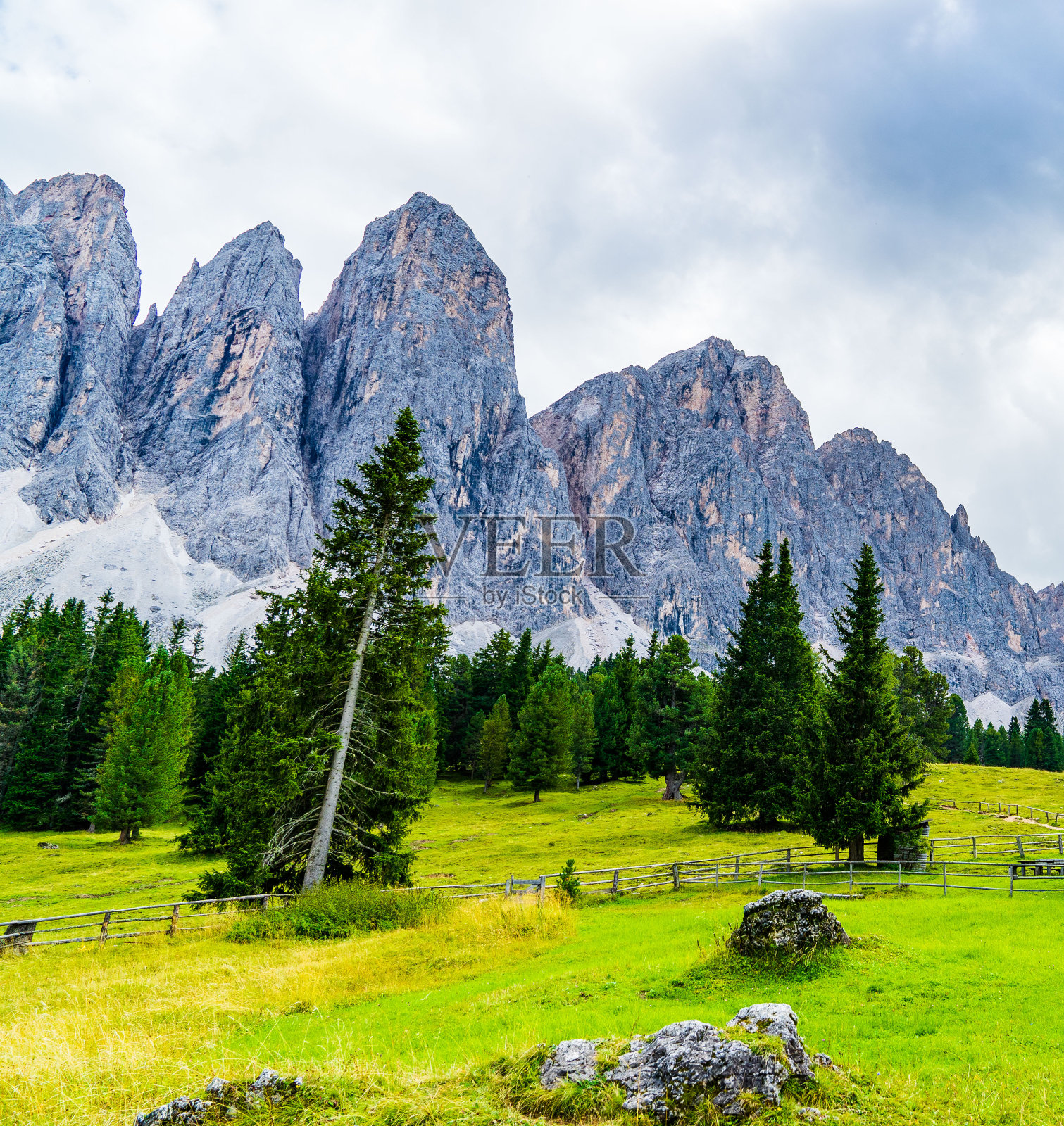 意大利南蒂罗尔白云石的盖斯勒集团。山上覆盖着松树林，蓝天白云映衬。照片摄影图片