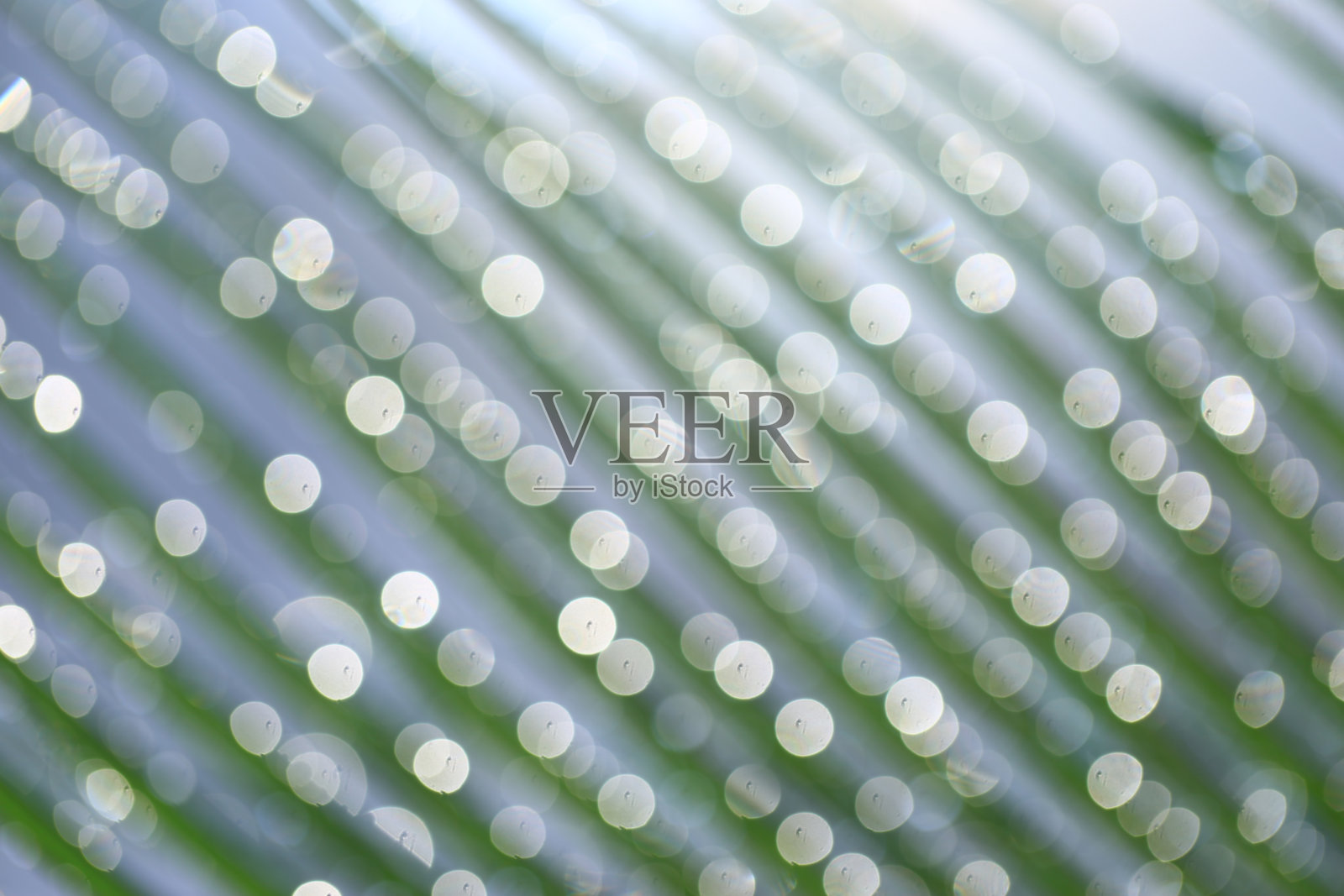 叶子上的水滴暴露在早晨的阳光下，形成一个圆形的模糊和主导的绿色。照片摄影图片