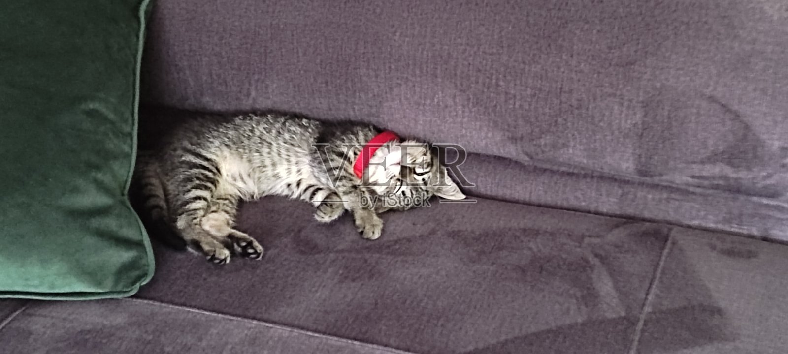 幸福的睡照片摄影图片