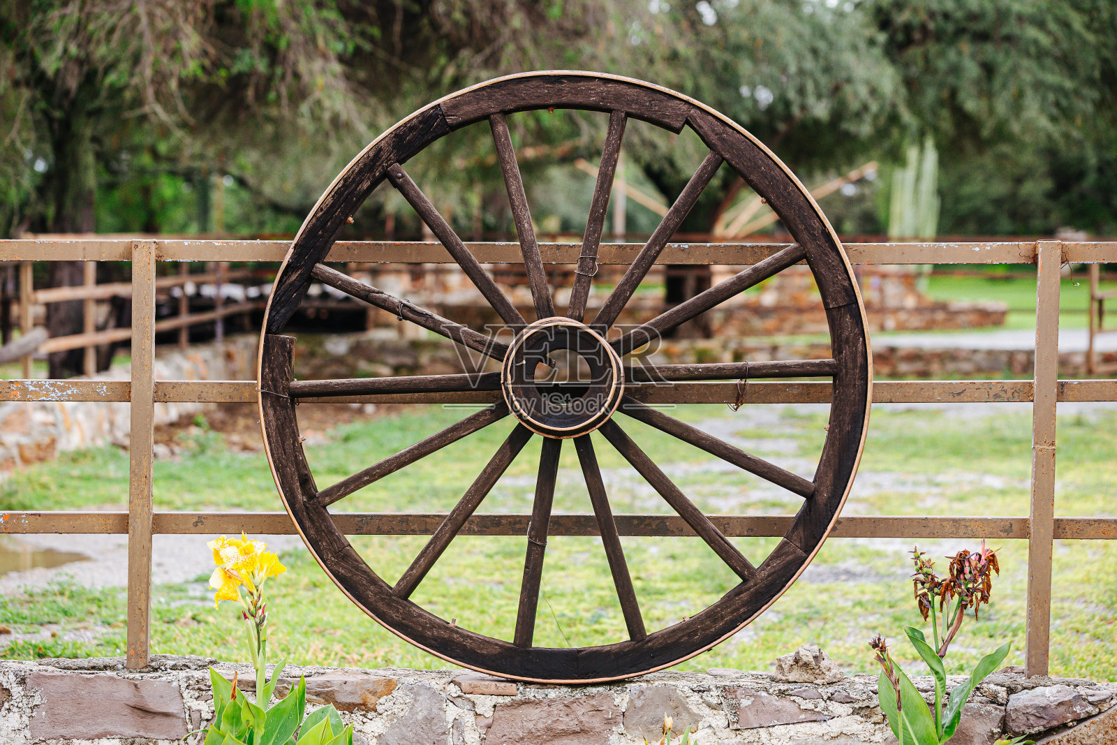 旧木车轮照片摄影图片