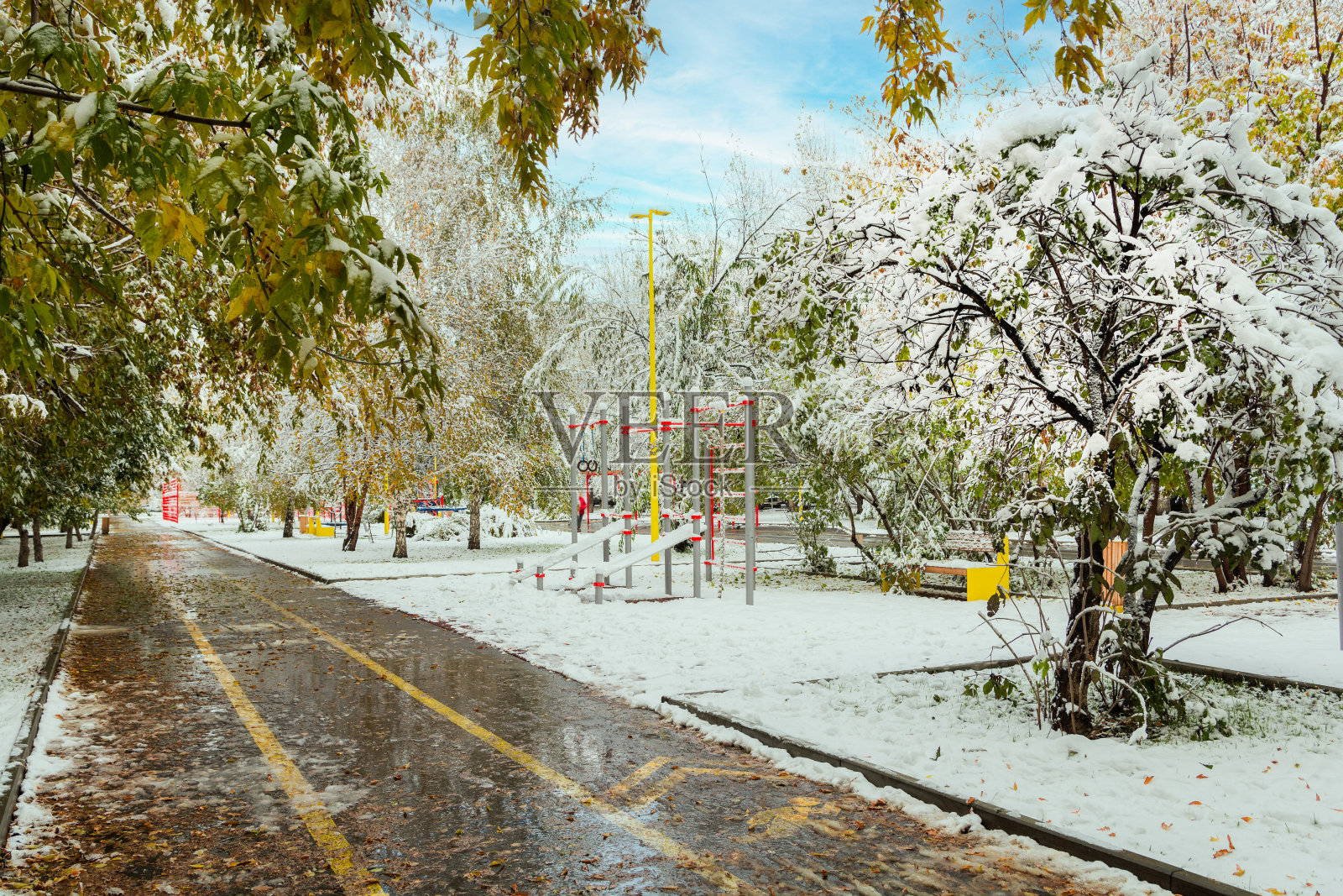 第一场雪落在公园里黄色和绿色的树叶上。冬天开始的概念照片摄影图片