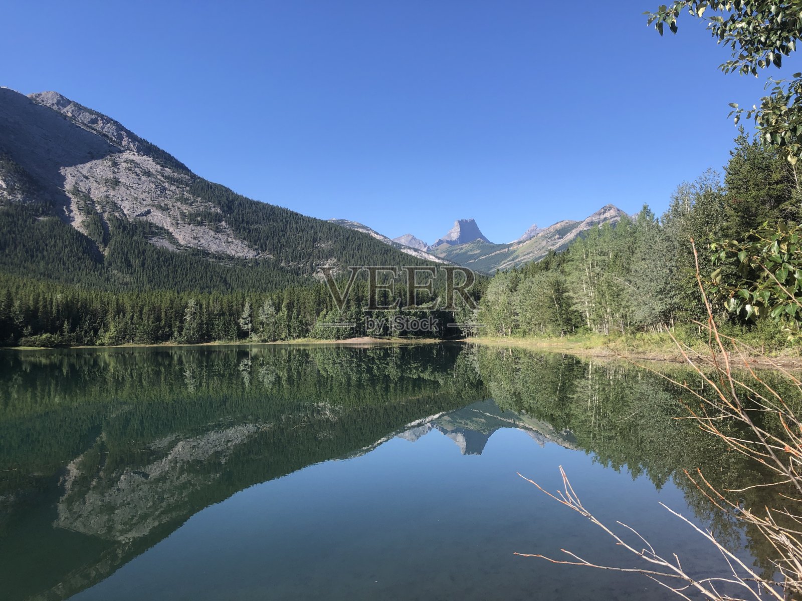 加拿大阿尔伯塔省卡纳纳斯基县的楔形池塘。P照片摄影图片