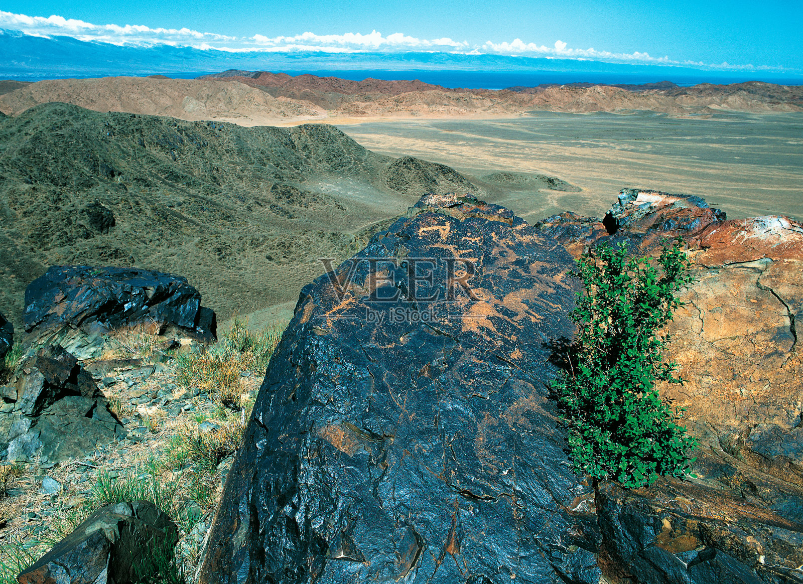 史前岩画照片摄影图片