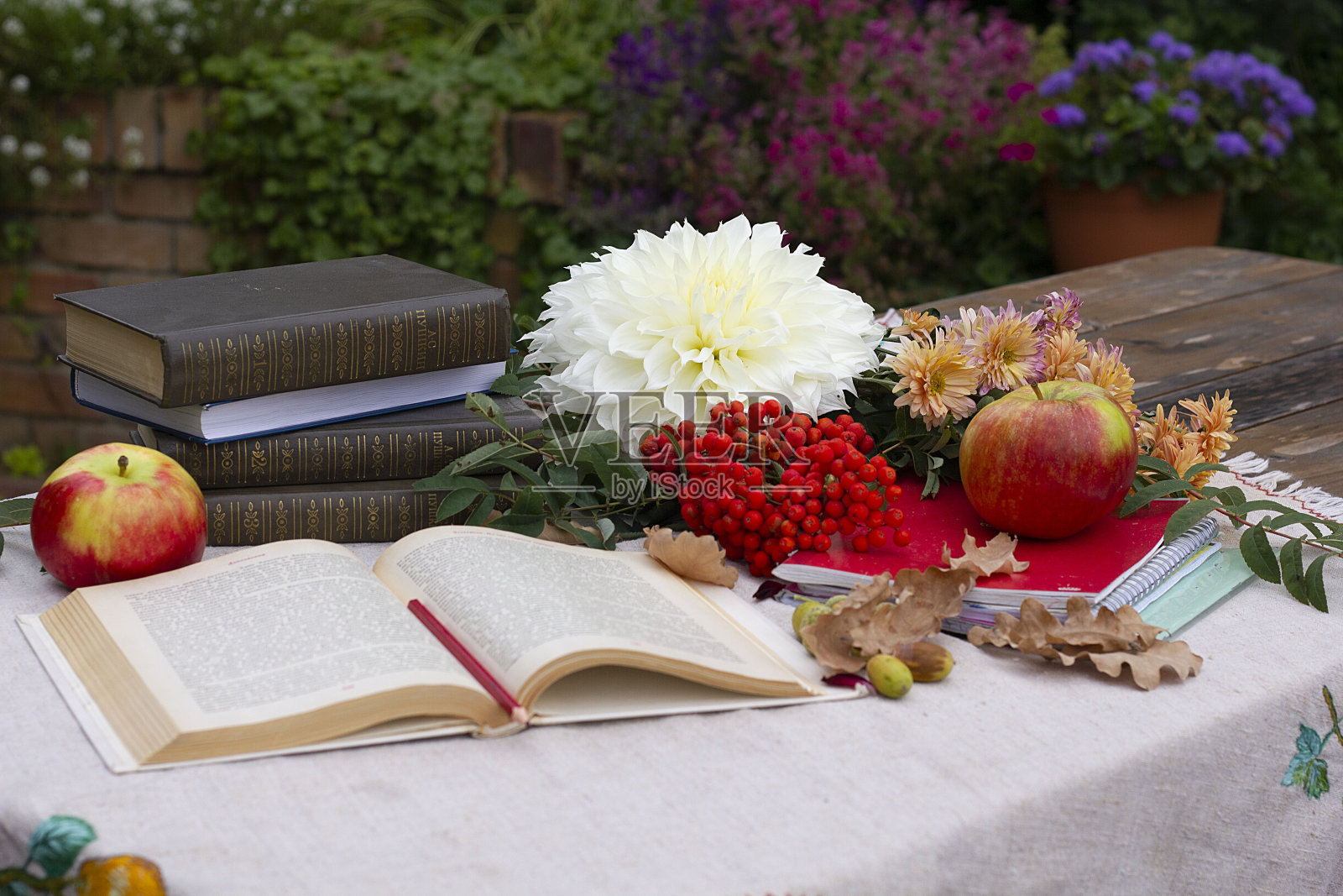 秋天的花与书和梣木。有苹果和花的静物画。照片摄影图片