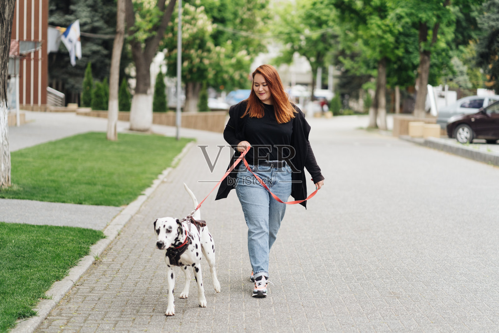 一个女人在城市里和她的达尔马提亚宠物散步、讨论和玩耍照片摄影图片