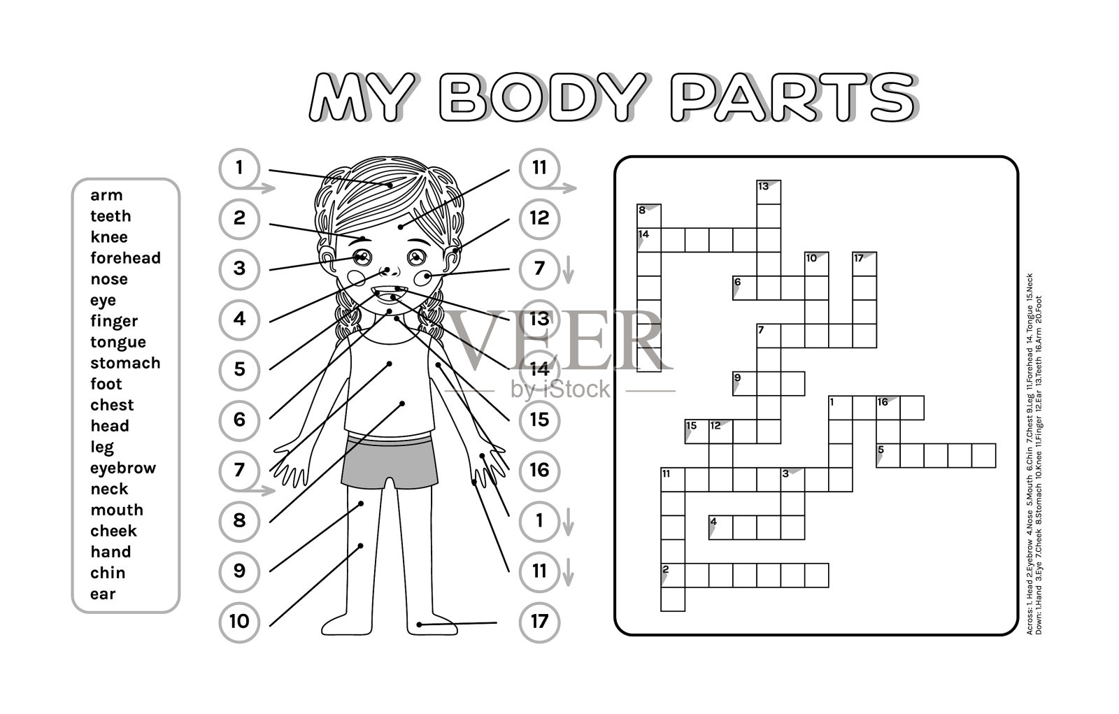 小女孩和填字游戏我的身体部位插画图片素材