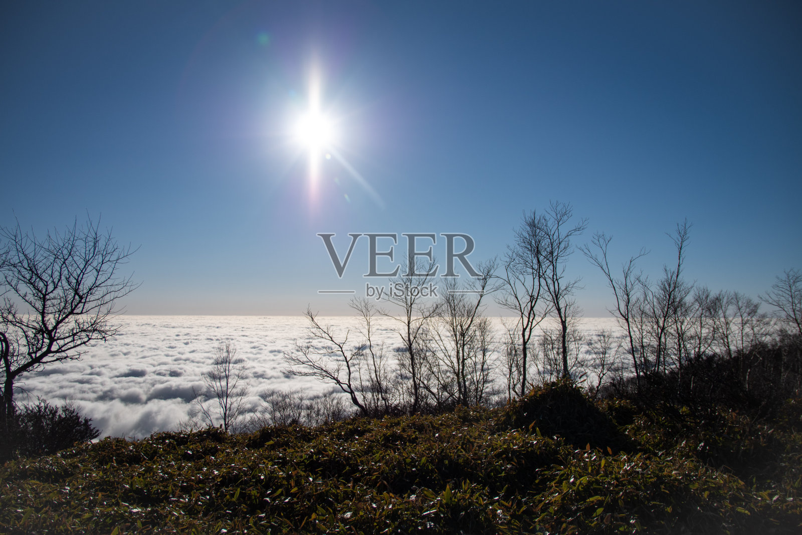 Mt.Akagi峰会照片摄影图片