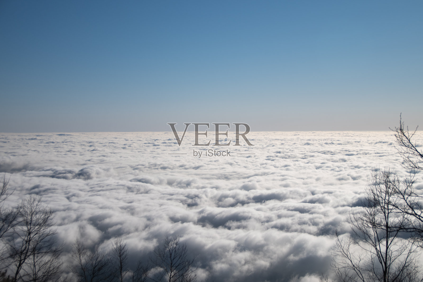 Mt.Akagi峰会照片摄影图片