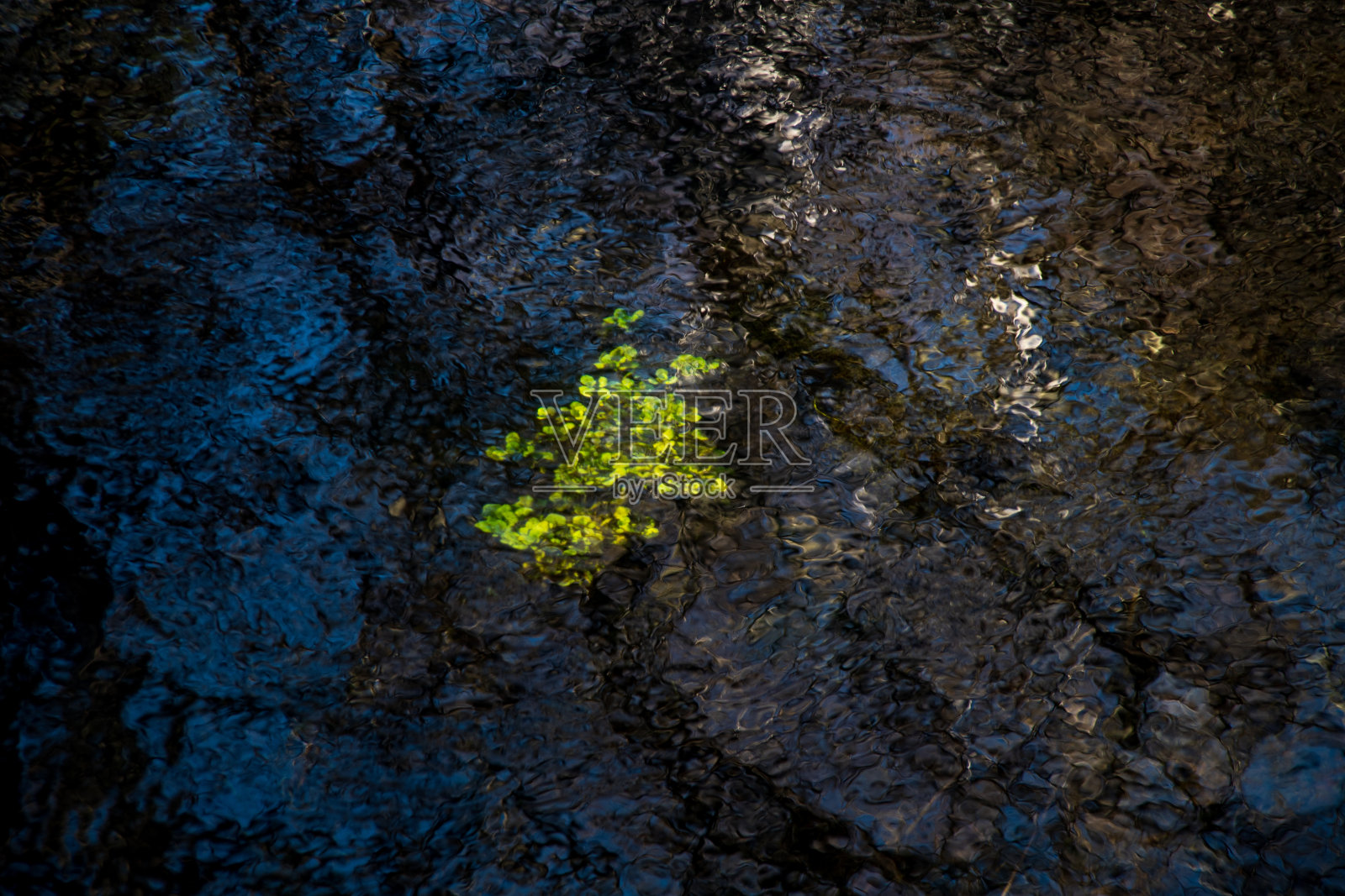 Senjogahara,日光照片摄影图片