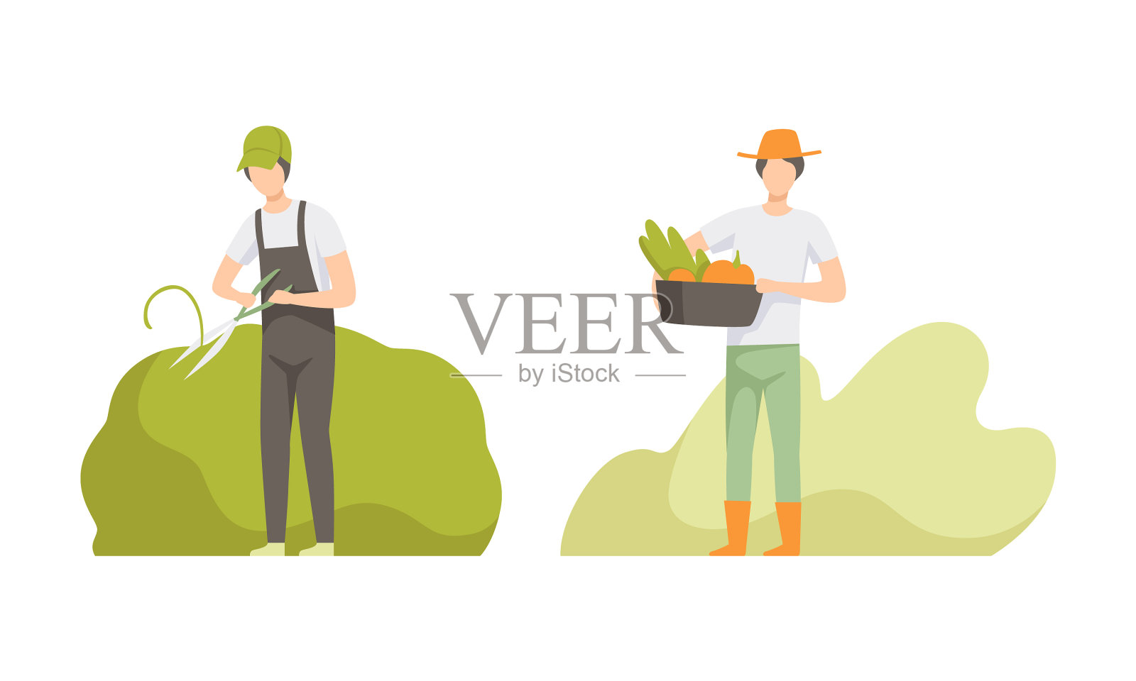 年轻人修剪灌木，捧着成熟的盒子设计元素图片