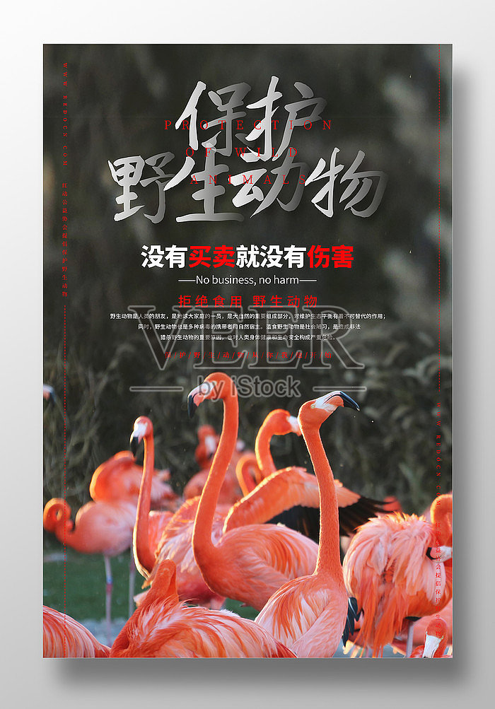 简约保护野生动物公益宣传海报设计设计模板素材