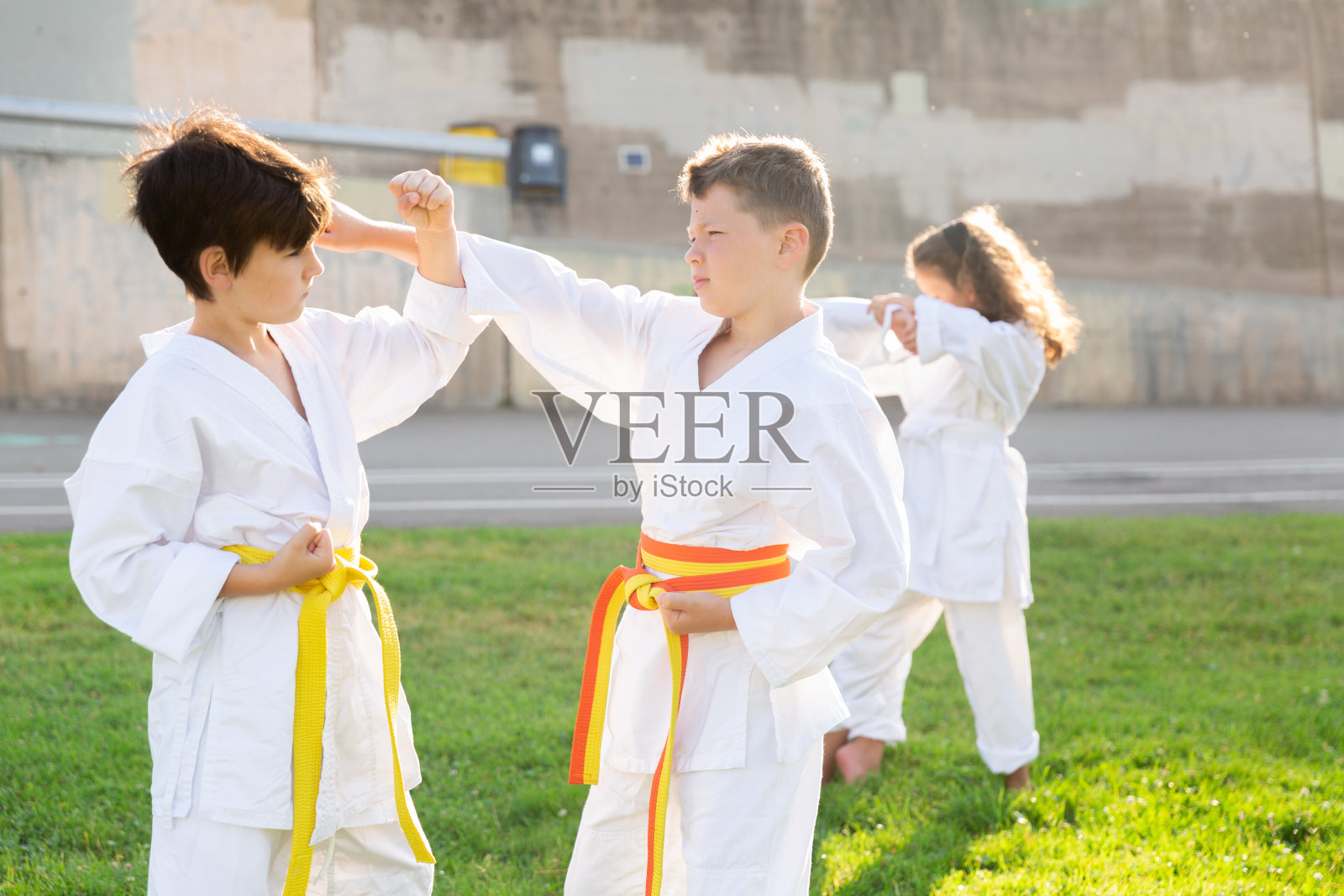 十几岁的孩子在绿色的草坪上成对地掌握空手道技术照片摄影图片