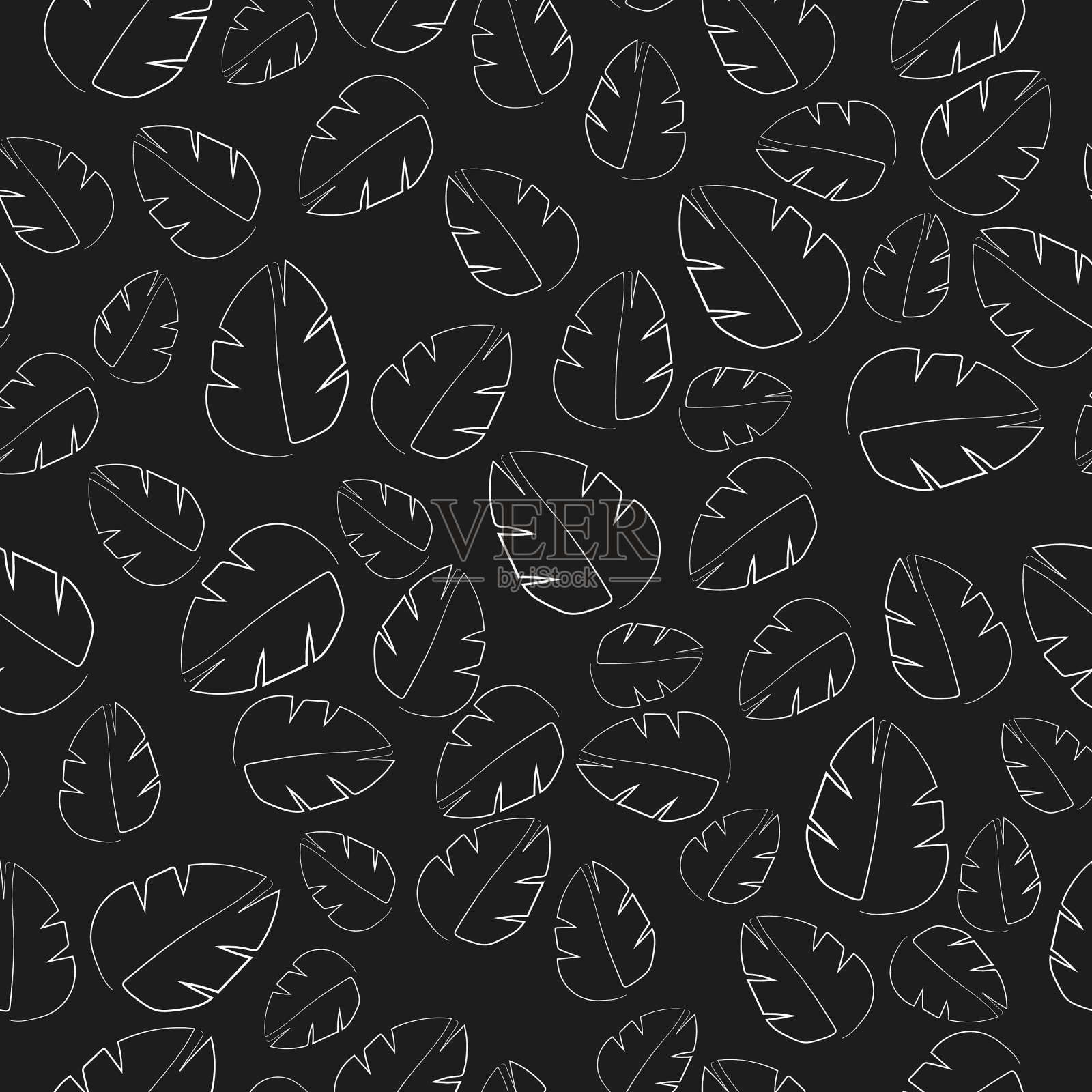 豪华的黑白背景花卉图案插画图片素材