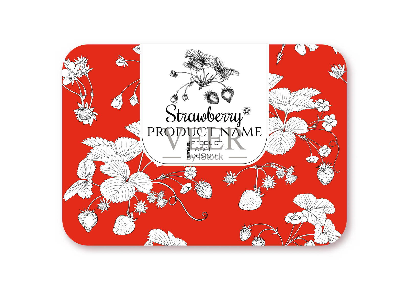 草莓成熟浆果模板产品插画图片素材