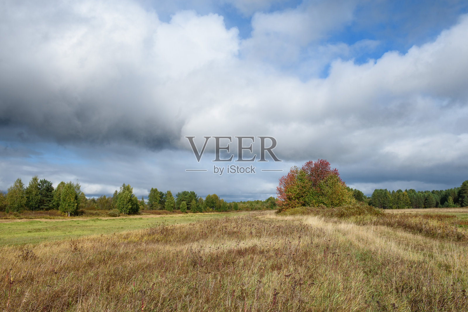 一个风景如画的风景。深秋的田野照片摄影图片