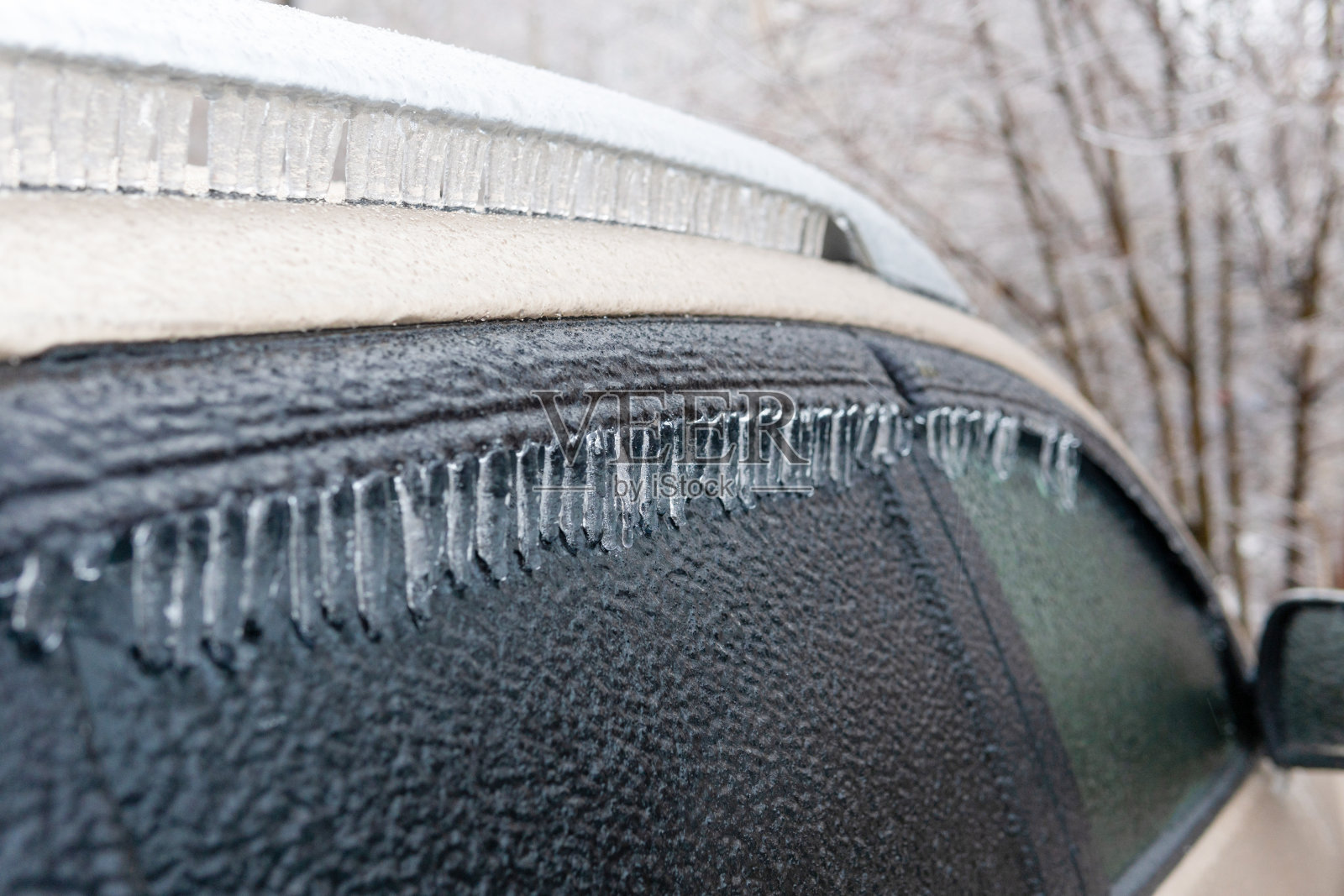 一场冰雨过后，树木和植物都被冰覆盖了照片摄影图片