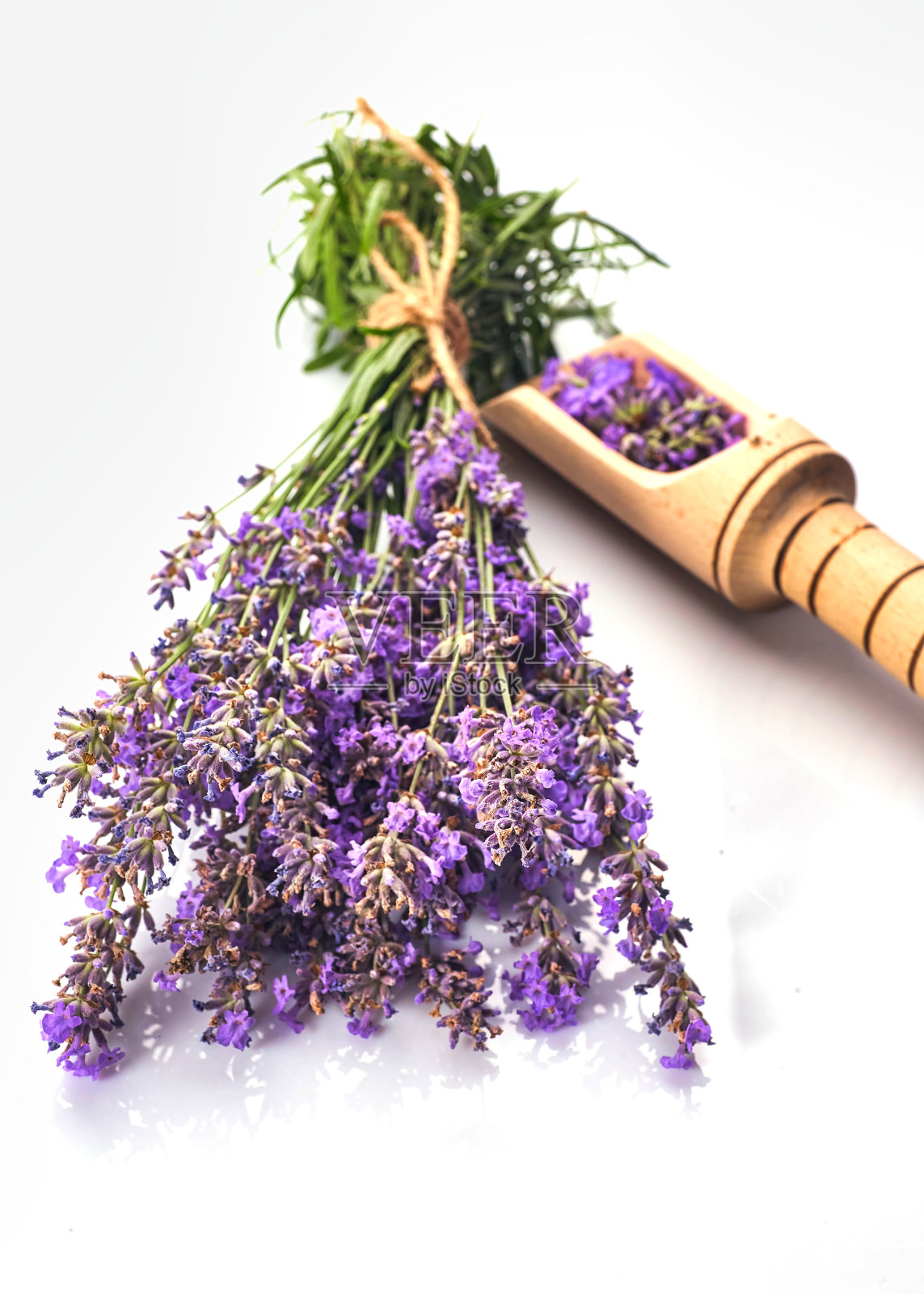 新鲜的薰衣草束和玻璃碗中的薰衣草花。孤立在白色背景上。照片摄影图片