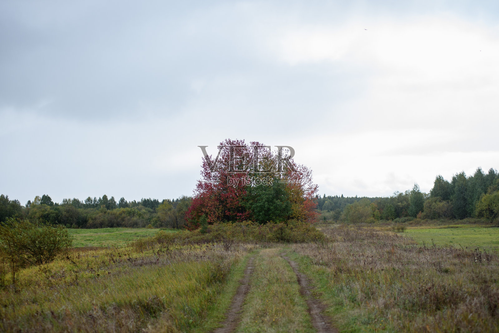 一个风景如画的风景。穿过田野的乡村道路照片摄影图片