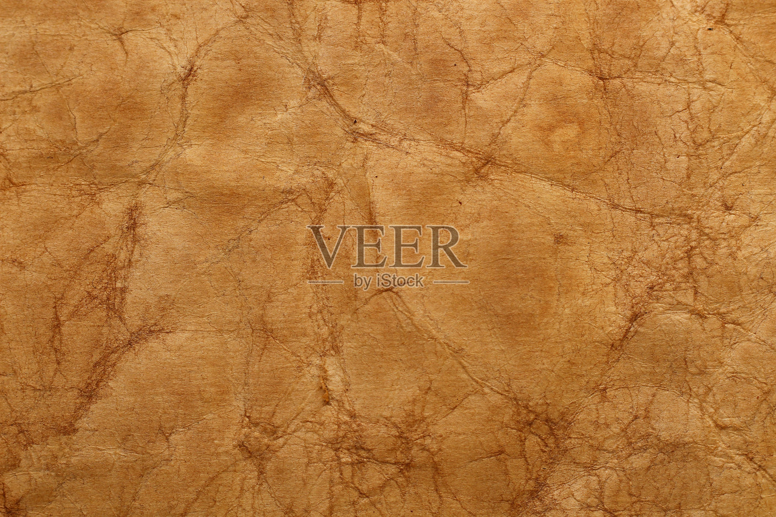 老式纸张的纹理。设计空白。照片摄影图片