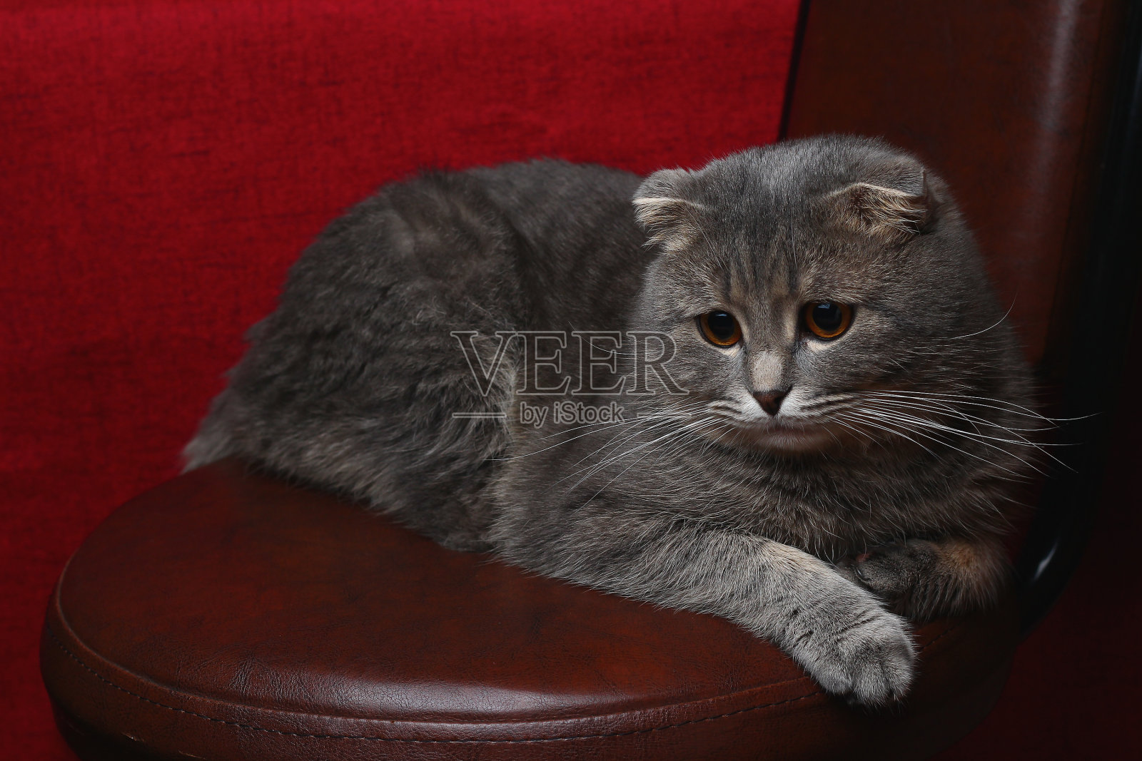 创意库存摄影，背景与复制空间照片摄影图片