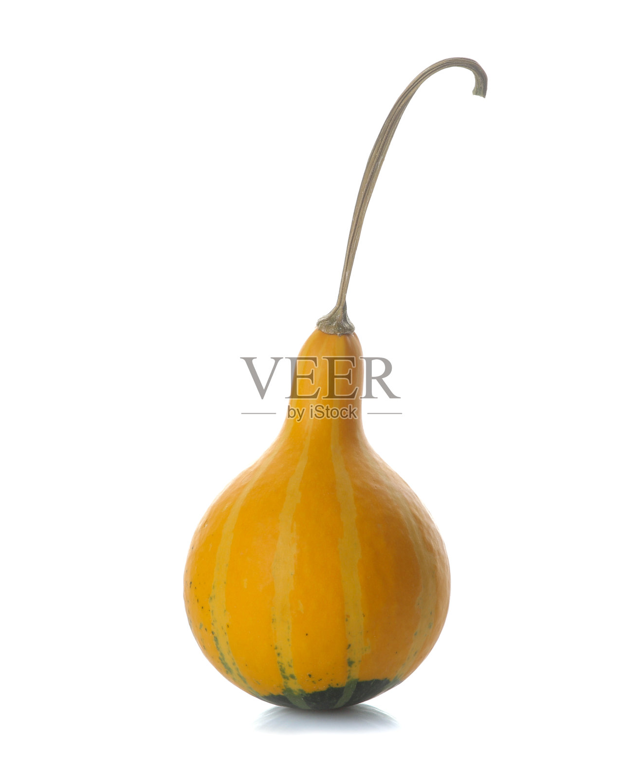 小南瓜装饰有黄色和绿色的颜色。秋天的时间。在白色孤立的背景上照片摄影图片