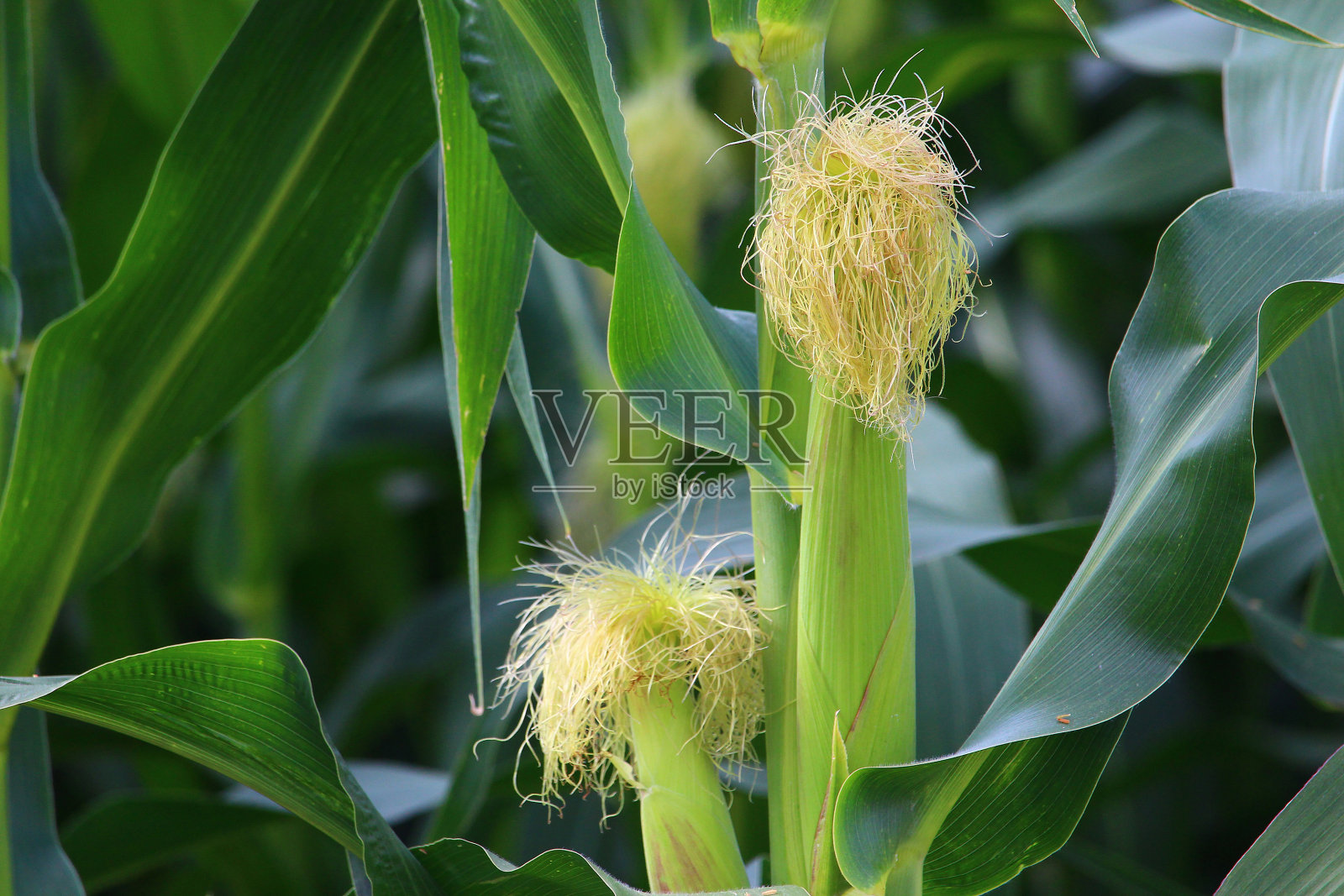 创意概念背景照片摄影图片