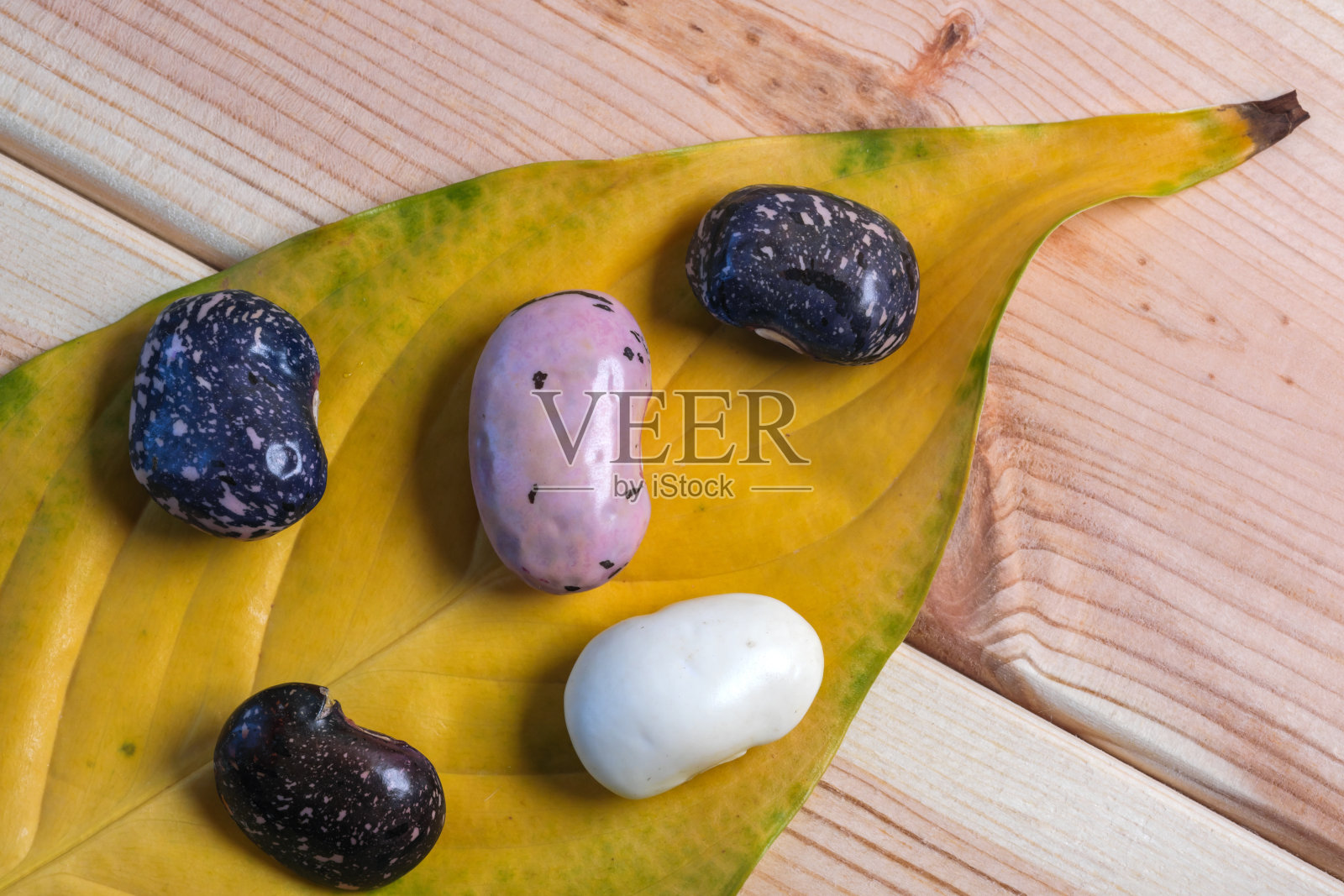 各种颜色的新鲜生豆照片摄影图片