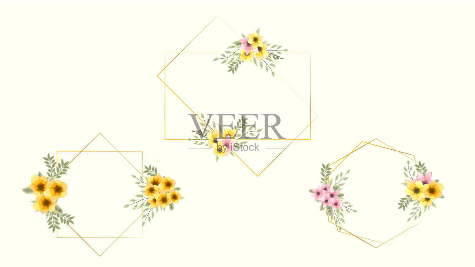 设置花卉元素花卉框架详细插画图片素材