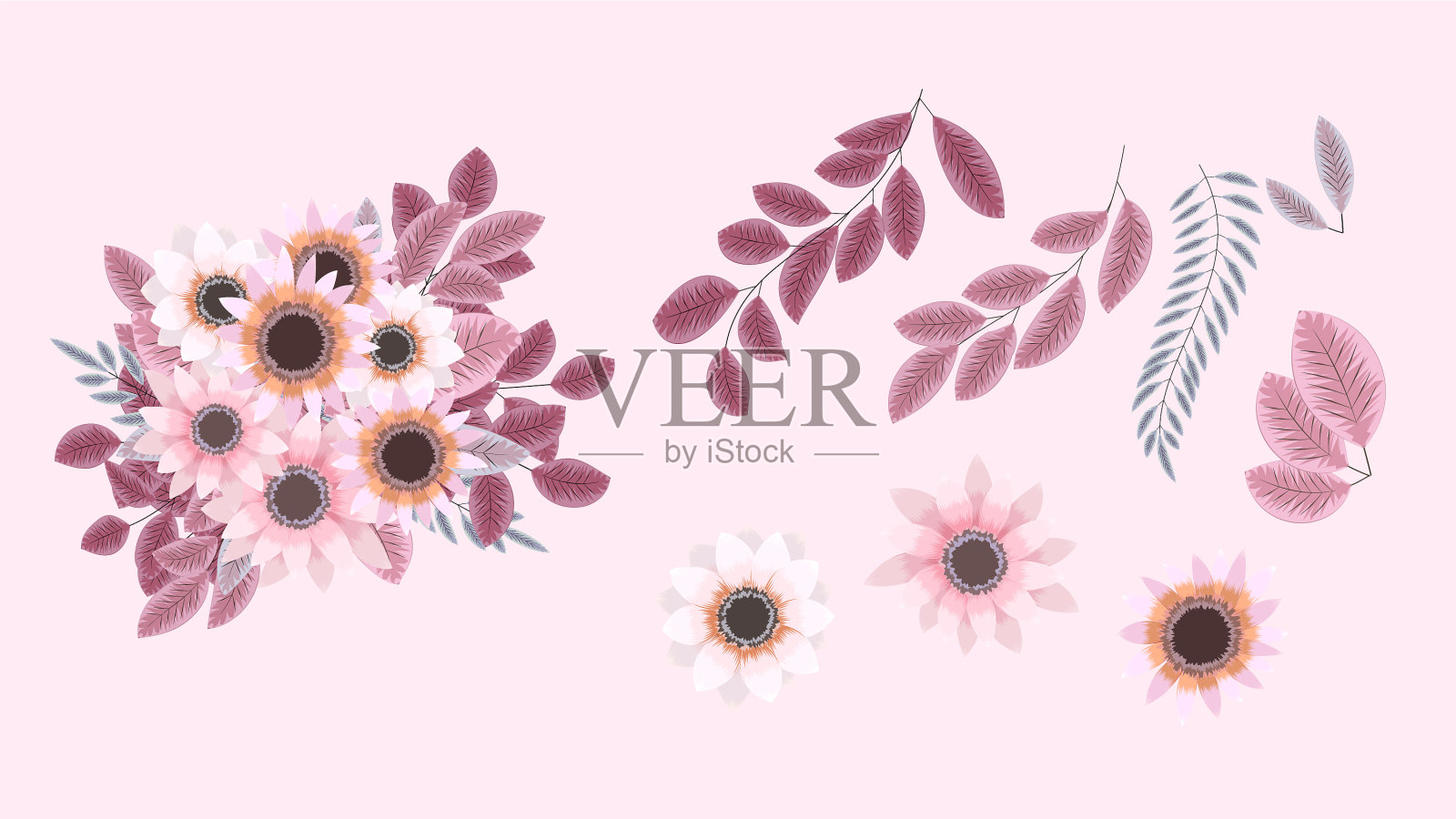 植物收集野生花安排插画图片素材