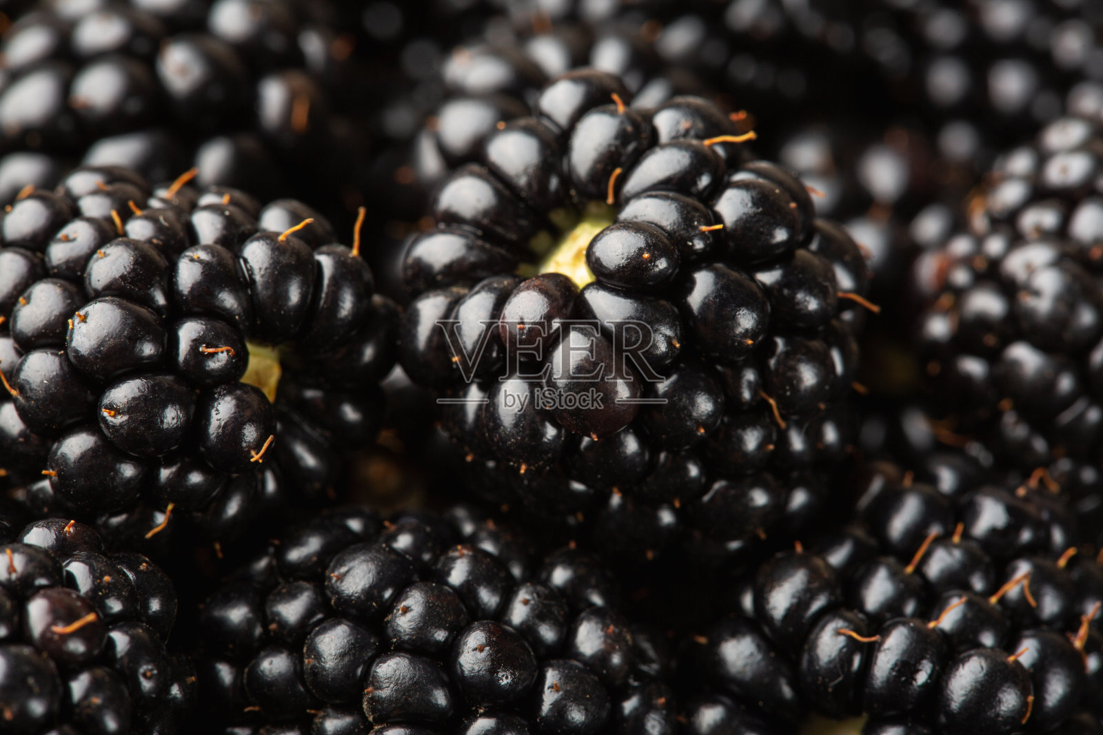 黑莓的背景。近距离成熟的黑莓微距镜头照片摄影图片